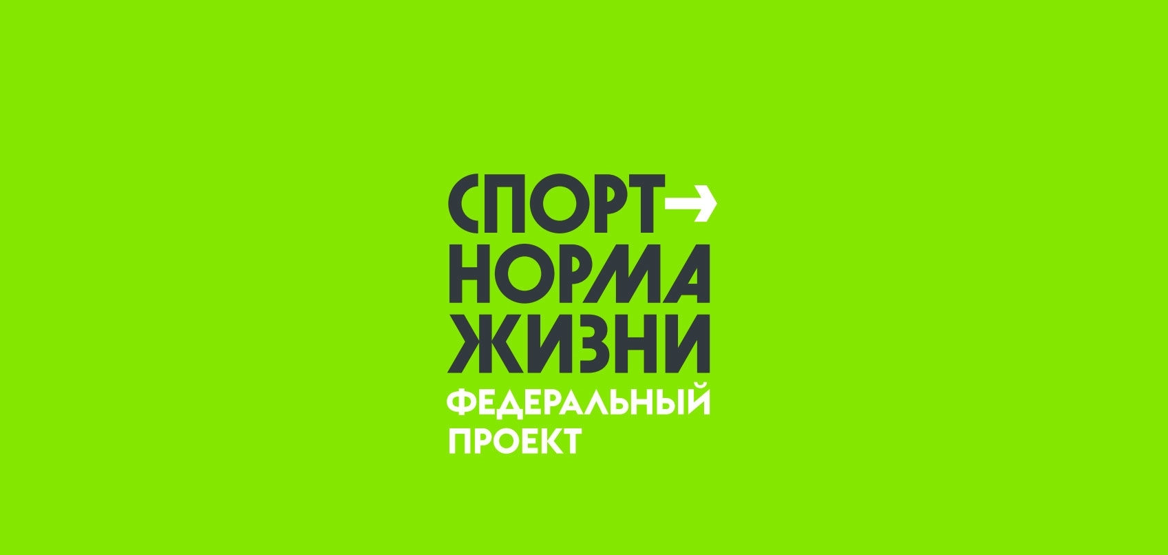 Реализация регионального проекта «Спорт — норма жизни»